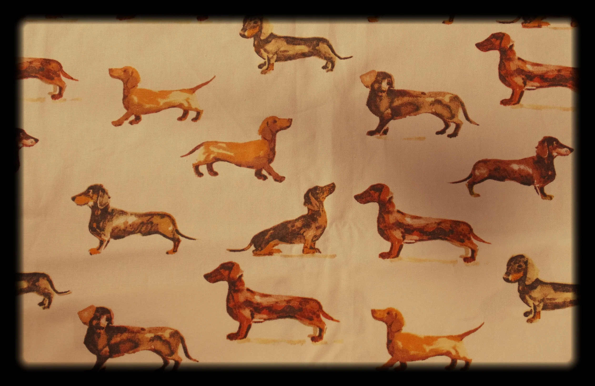 A (Tailor's) Ham and Sausage...Dog!