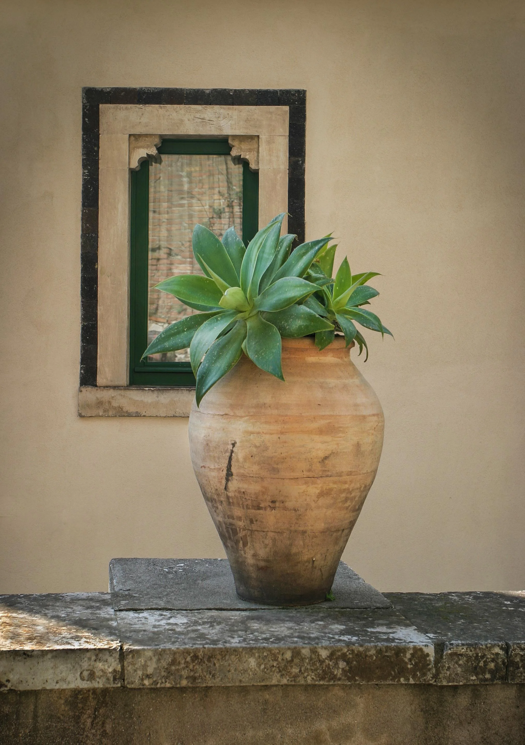 IMG_0101.jpg
