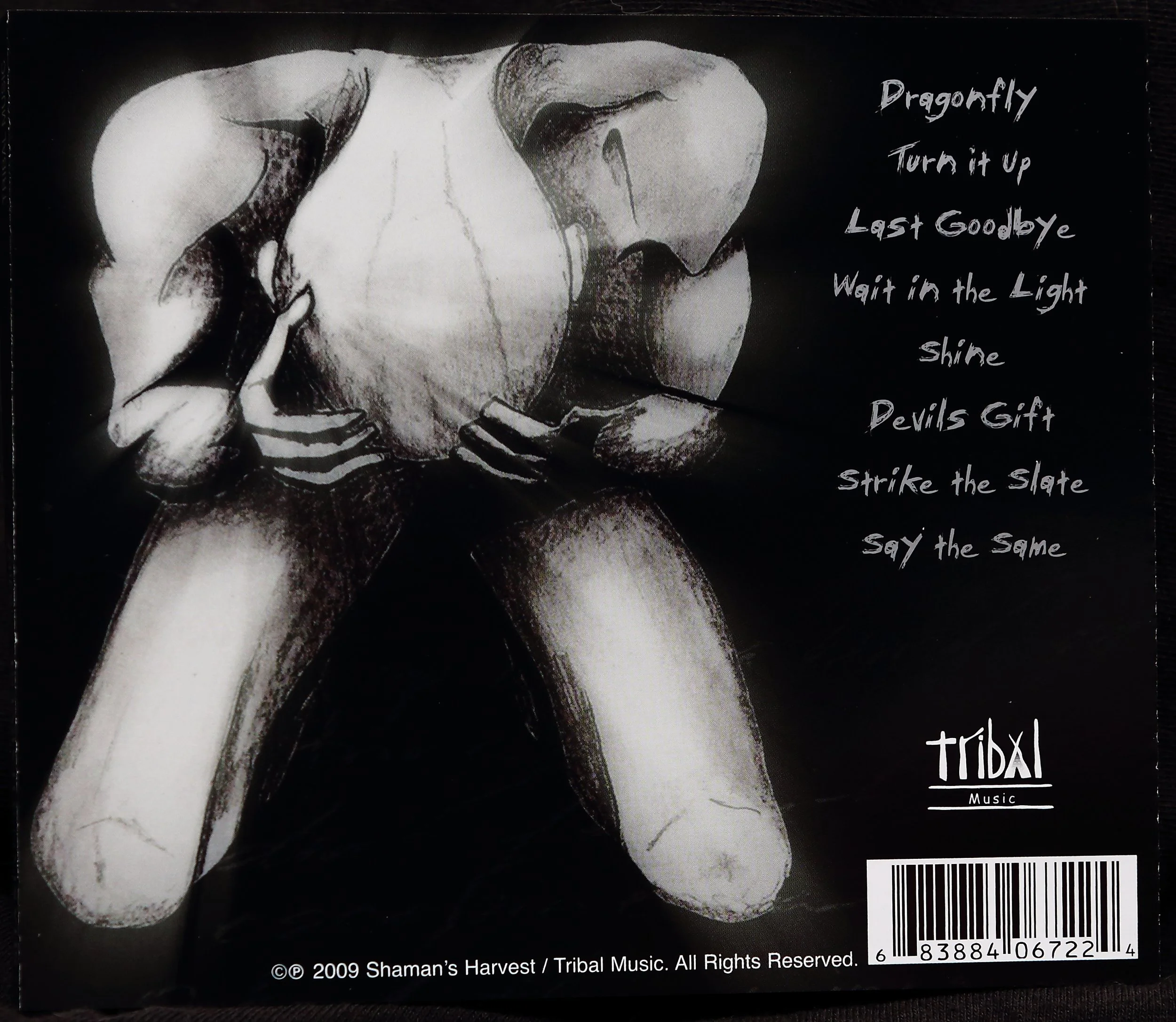 Shine Back_07-25-16_01.JPG