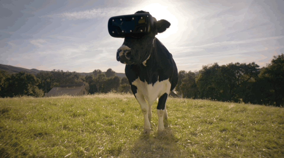 May-27-2025 15-01-58.gif