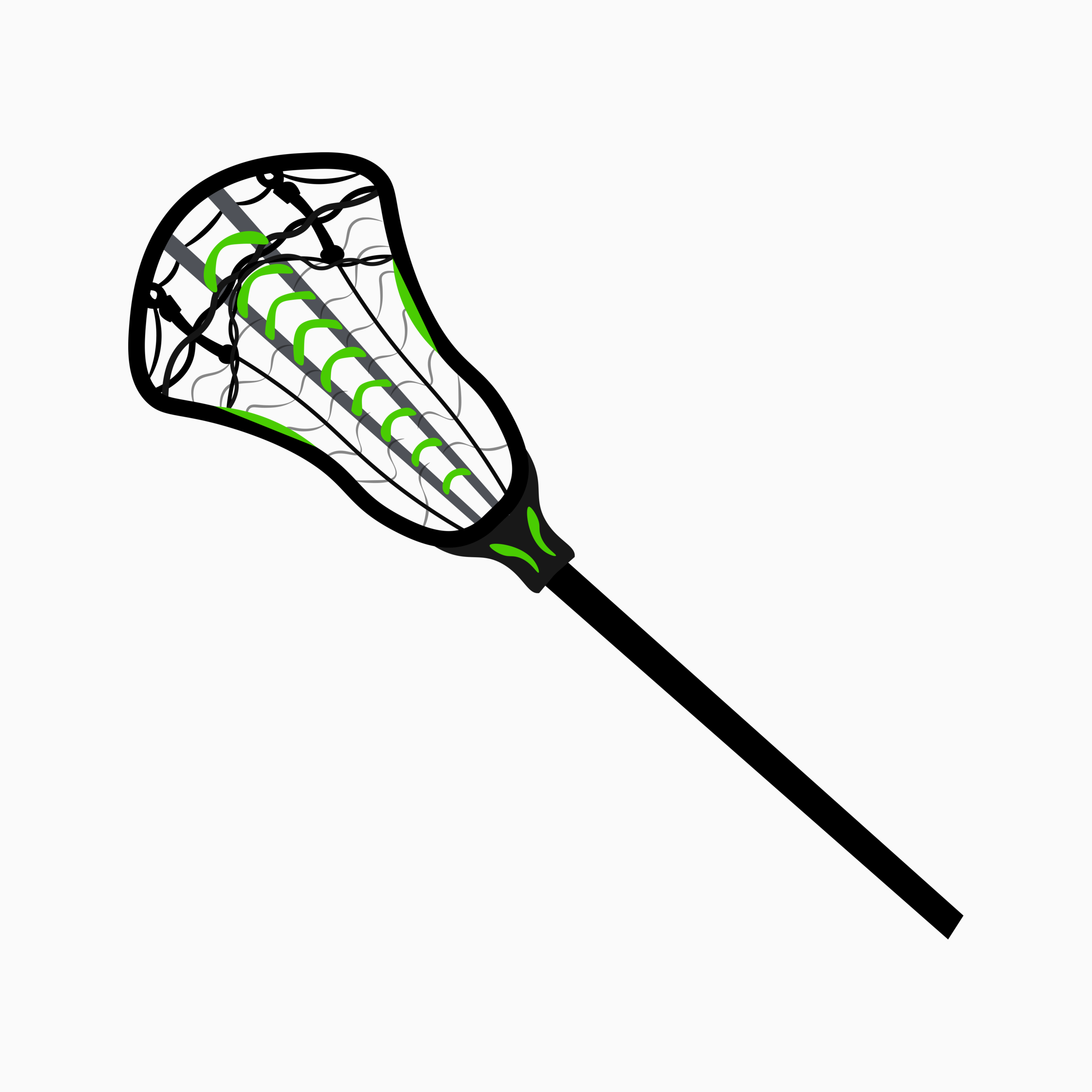 Lacrosse Stick