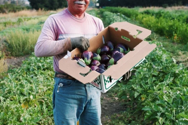 man 7.jpg