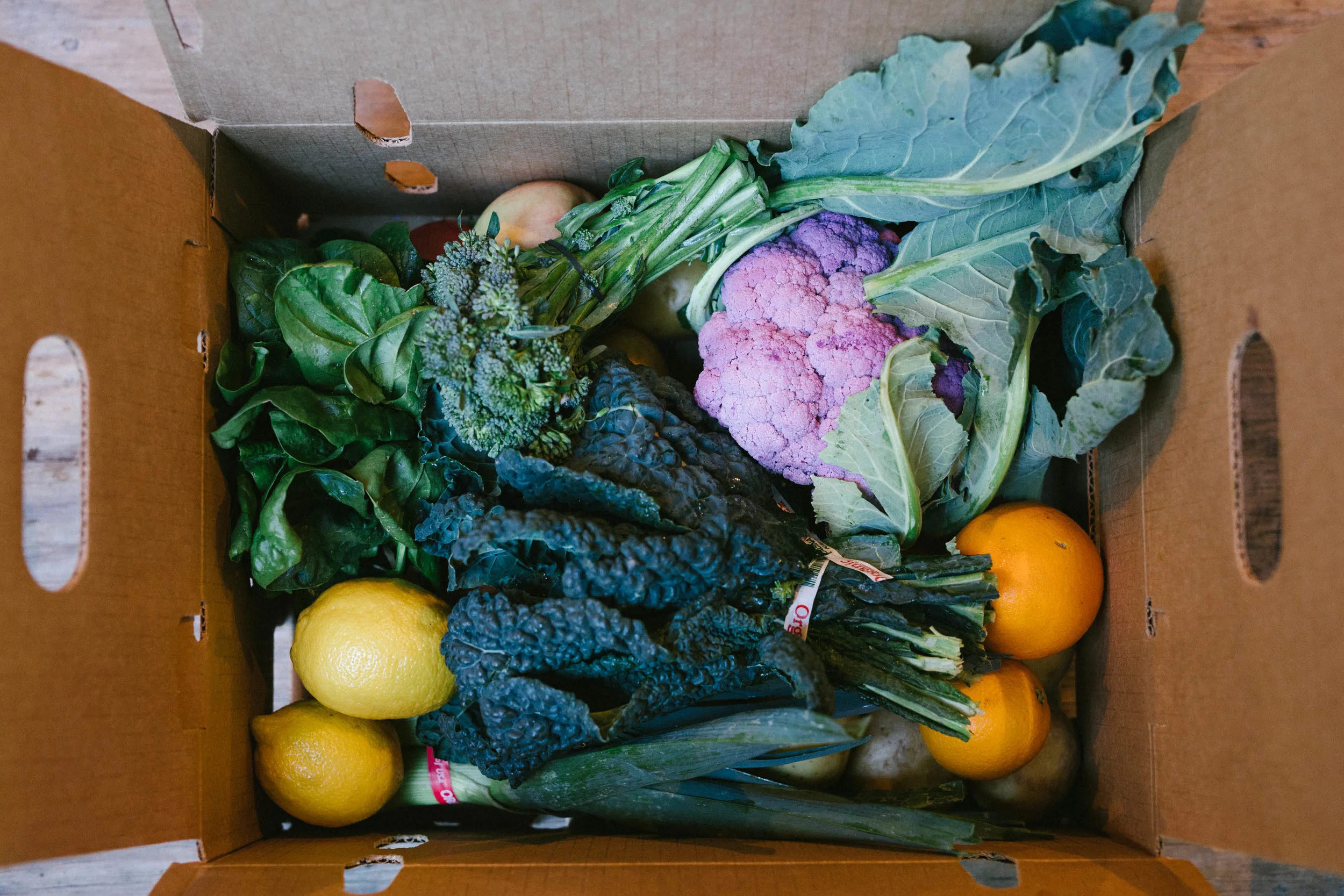 Typical January Family Box