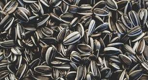 sunflowerseeds.jpeg