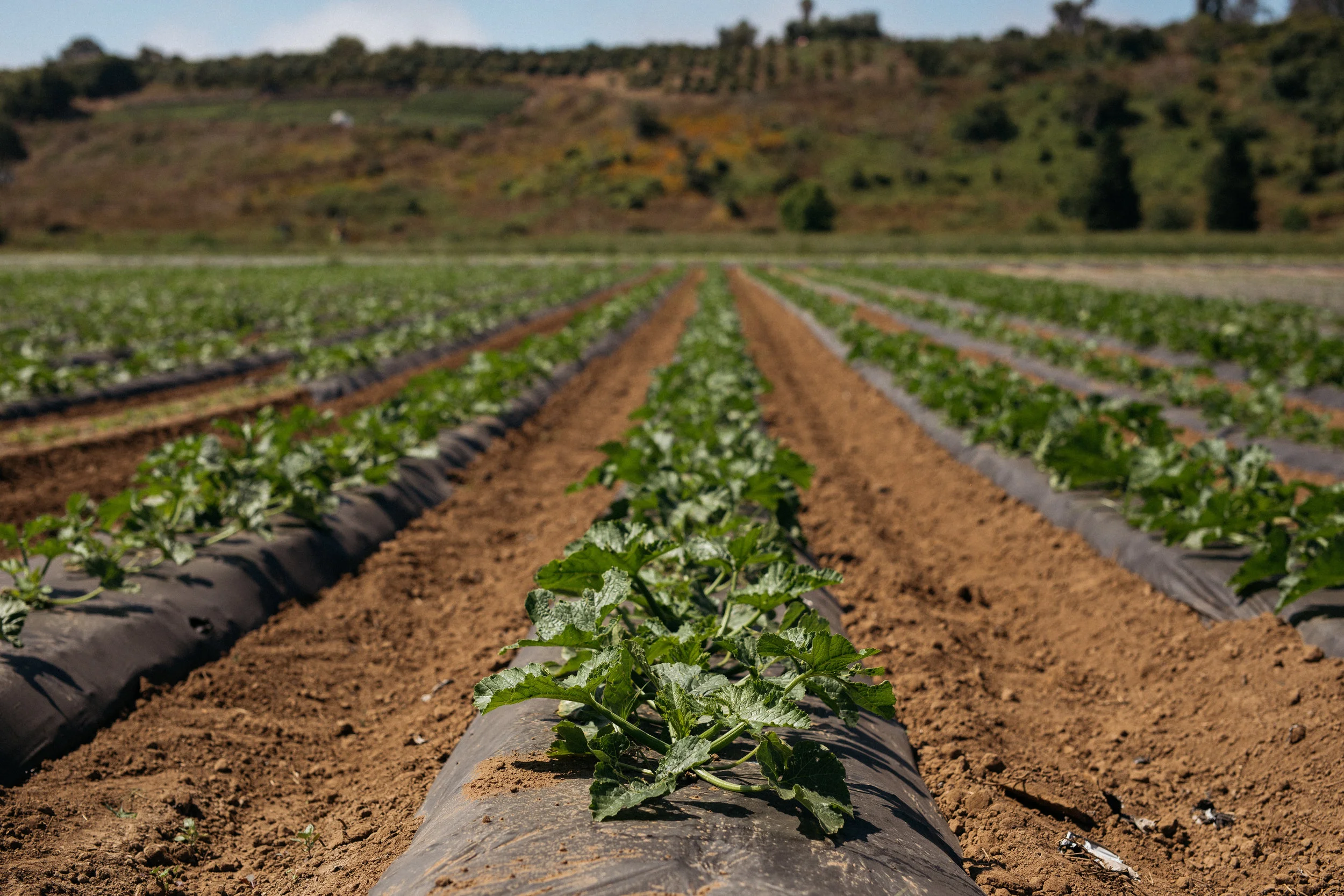 07112019FarmCartFieldTrip-13.jpg