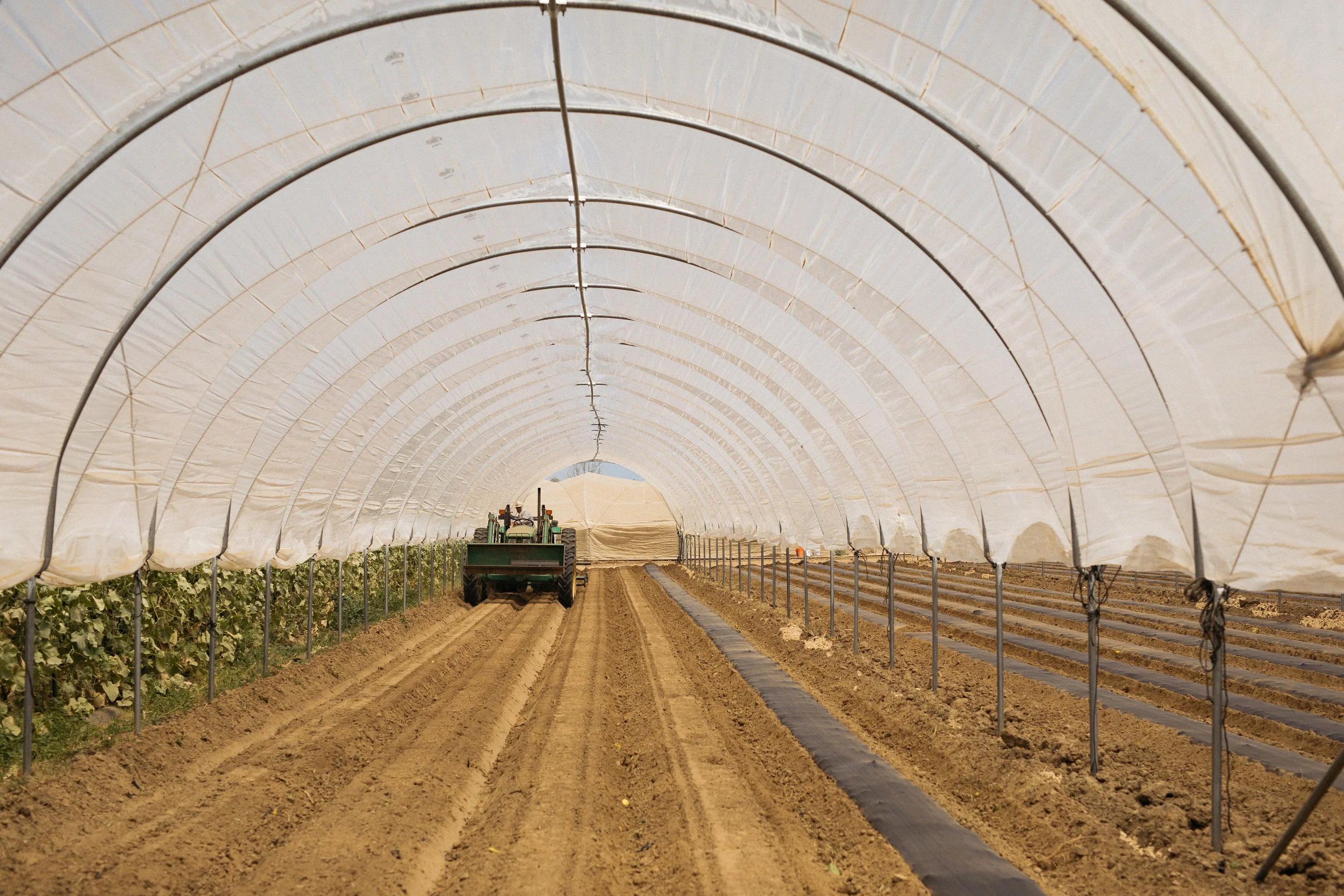 07112019FarmCartFieldTrip-49.jpg