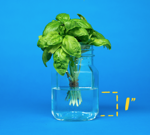 Screen Shot 2019-08-20 at 1.21.21 PM.png
