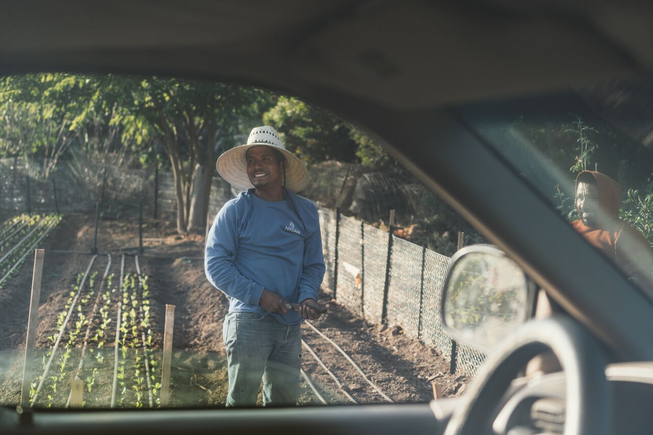 Jose Cardiel is the back bone of the Farm Cart Organics market garden at Pacifica Graduate Institute. Aside from being a happy, incredible dude, he is a plant whisperer. Without his ceaseless labor, great spirit, and love of his work, the crops would fail.