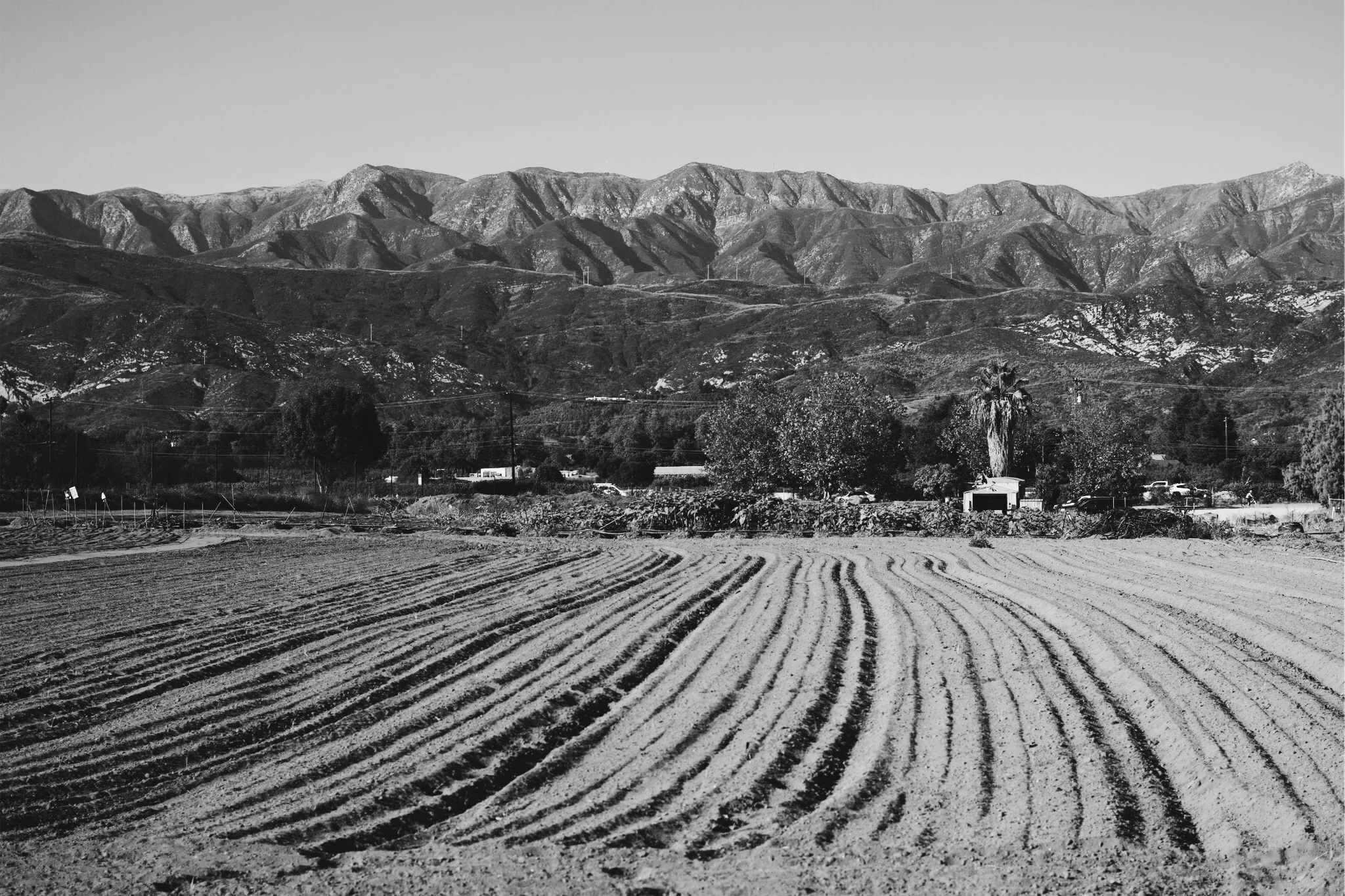 photo1 4.jpg