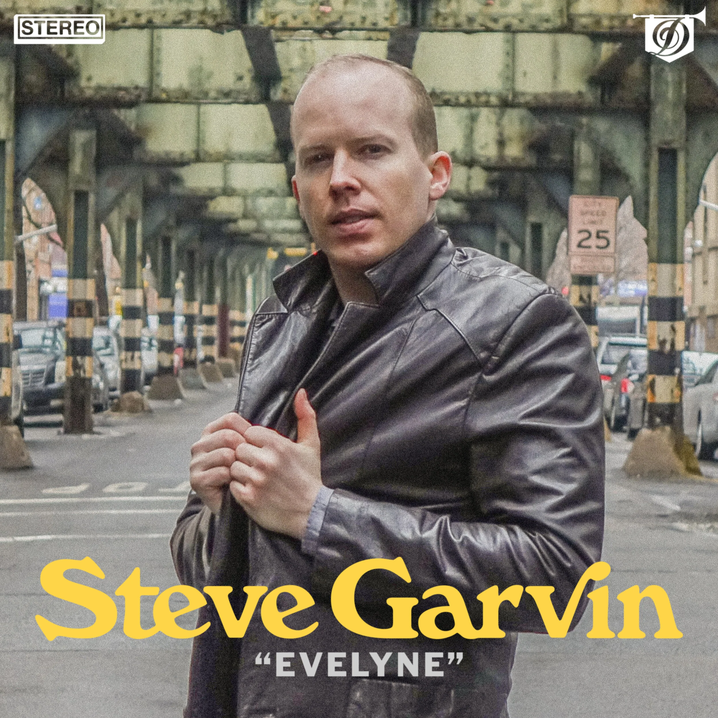 STEVE GARVIN cover.jpg