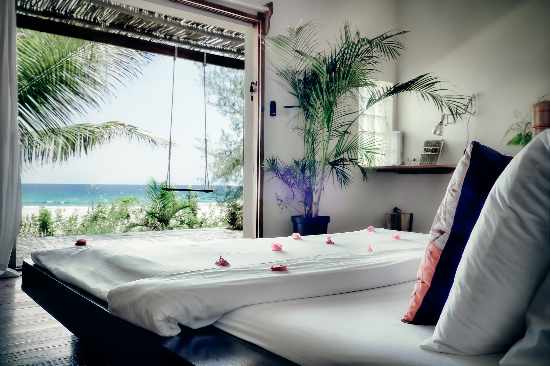 baia-composite-BrandingFree-MidRes.jpg