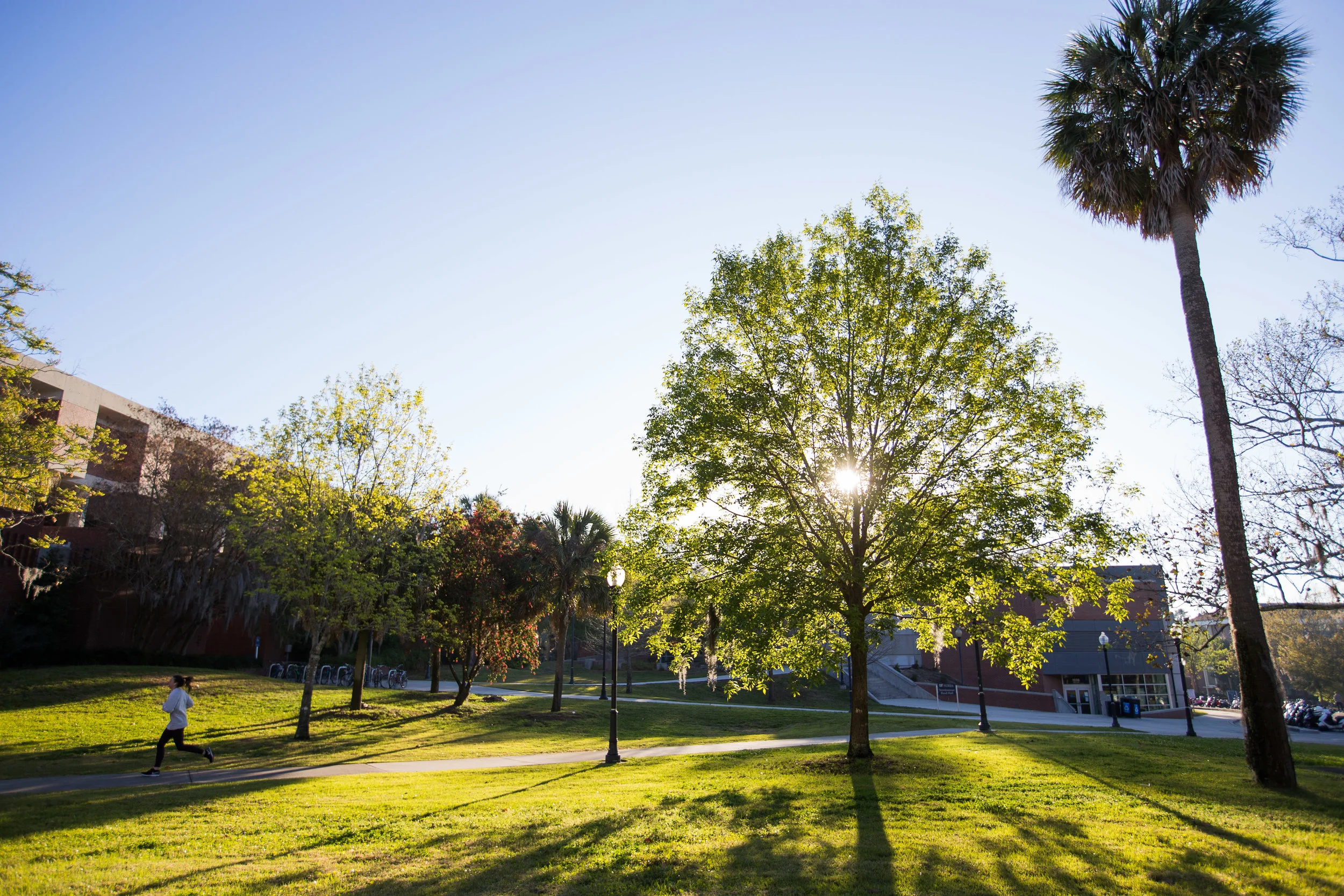 201803-15_Campus_Scenery-9938.jpg
