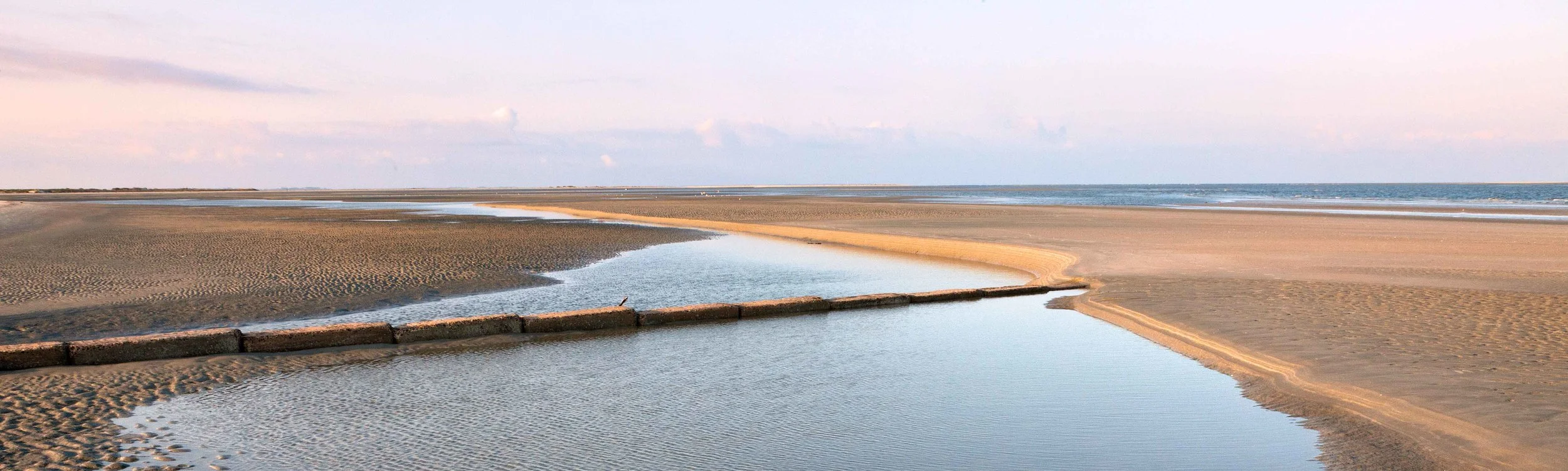 banner testimonials 3.jpg