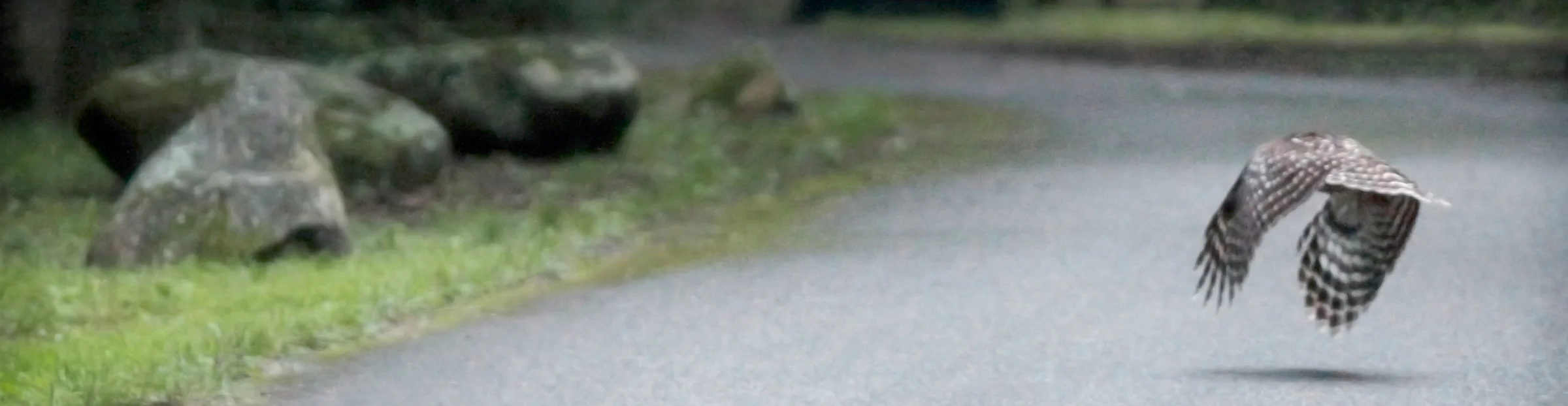 facility banner 6.jpg