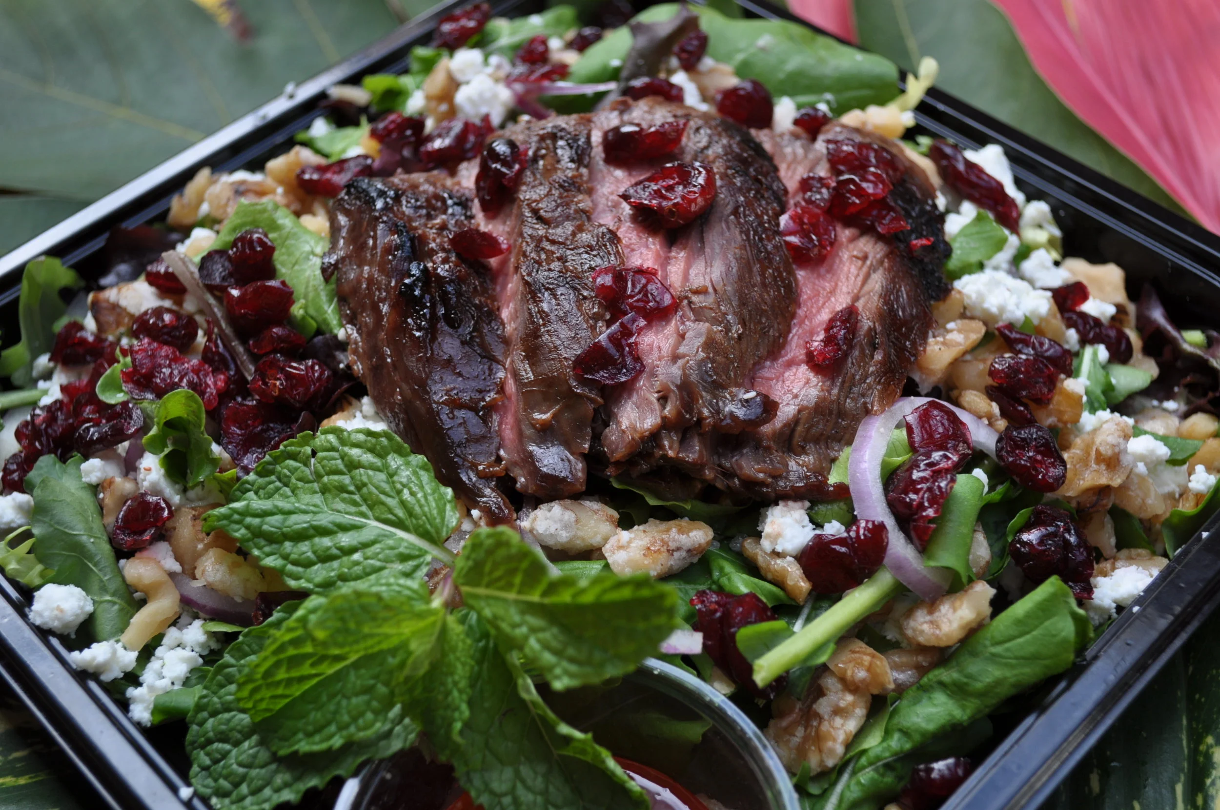 Komodo Dragon Prince Salad