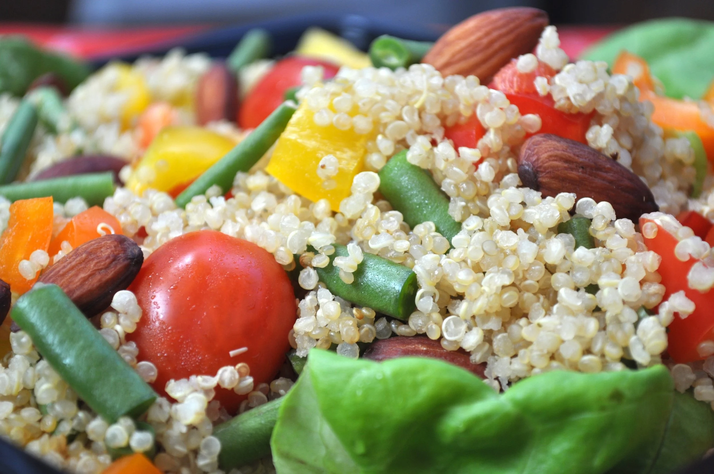 Synergy Salad