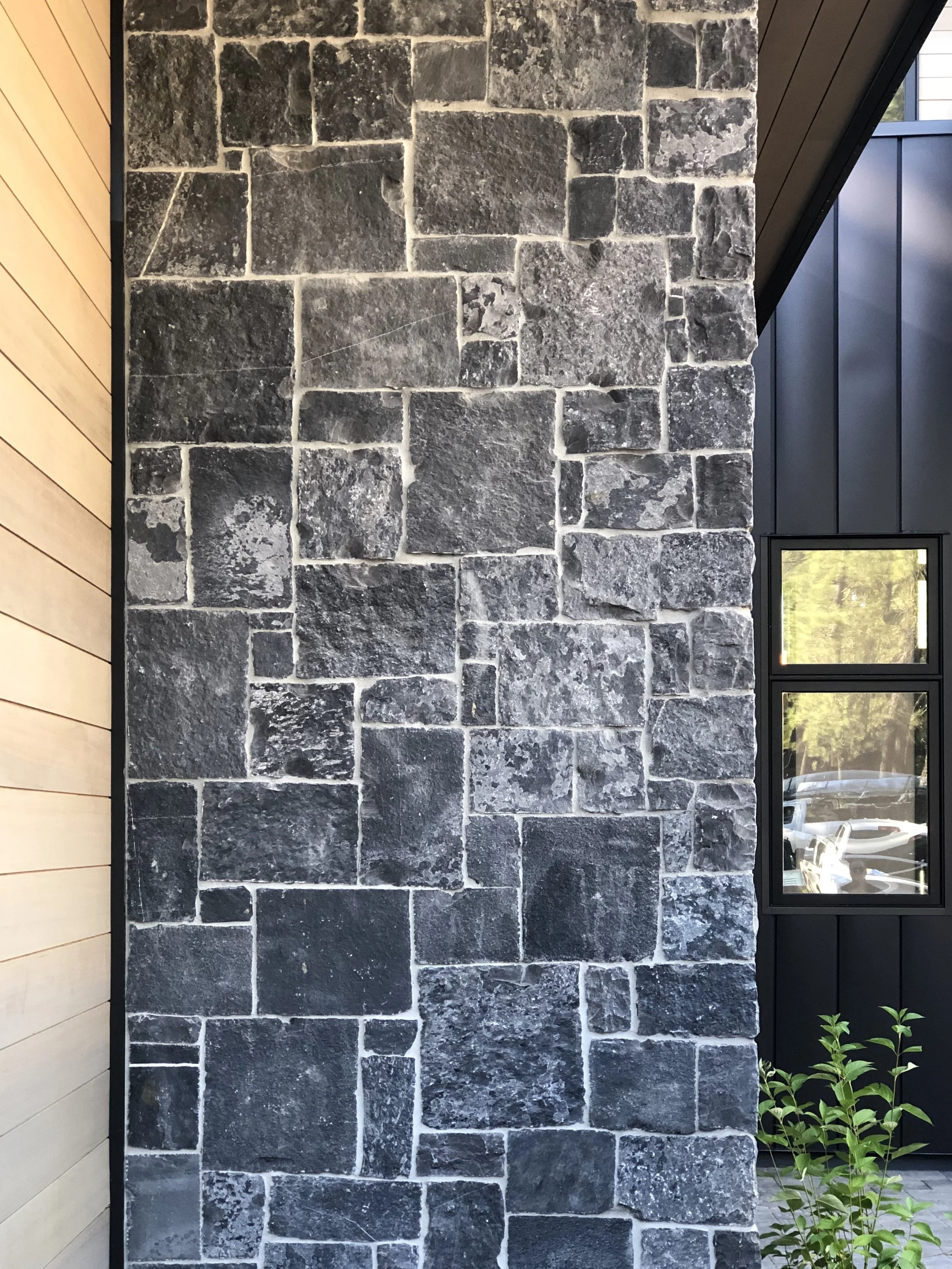 KO Black Pearl_2672.jpeg