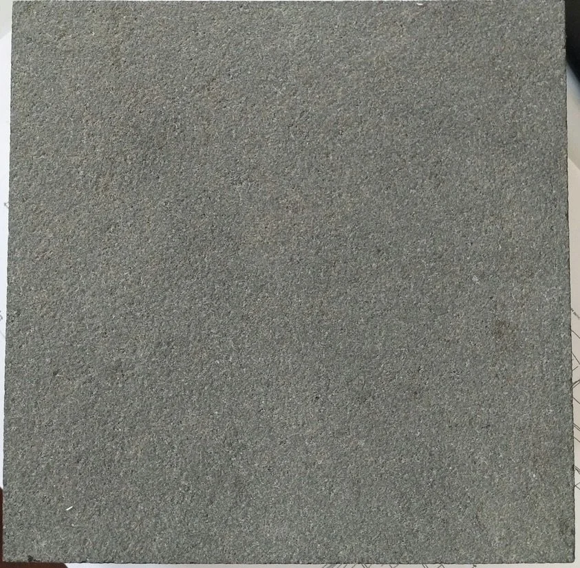 Close-up of a gray concrete or stone surface.