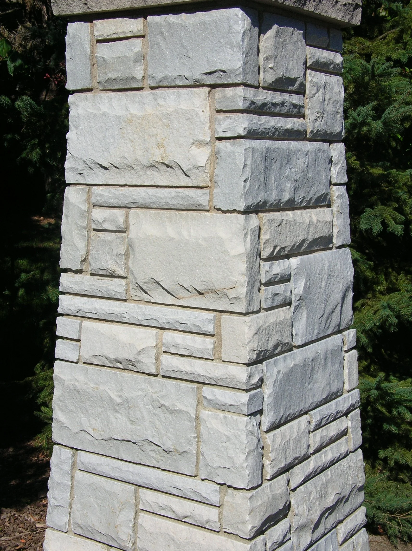 Gray Vireo Dimensional Rockfaced