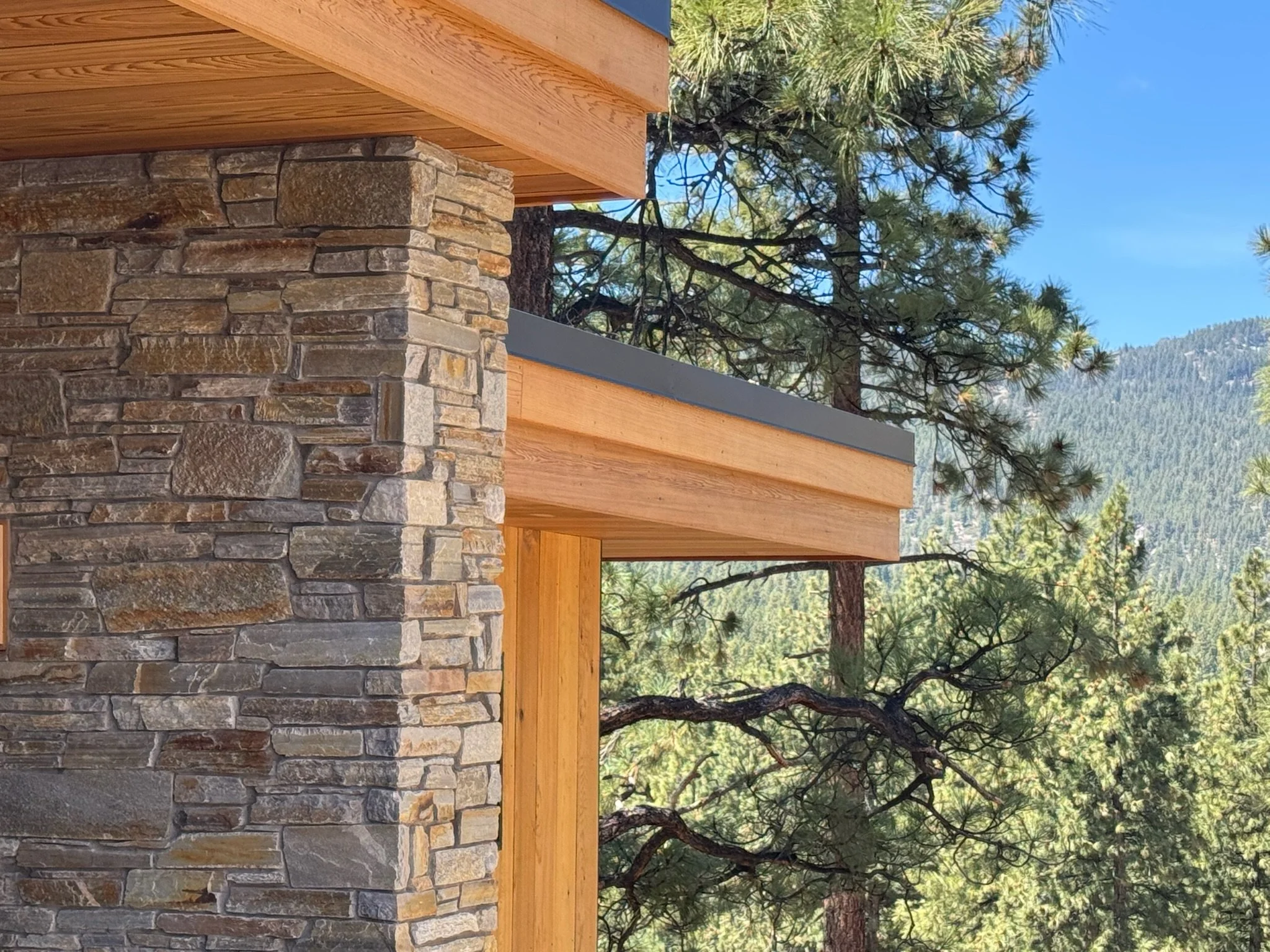 KO Autumn Mountain_3147.jpeg