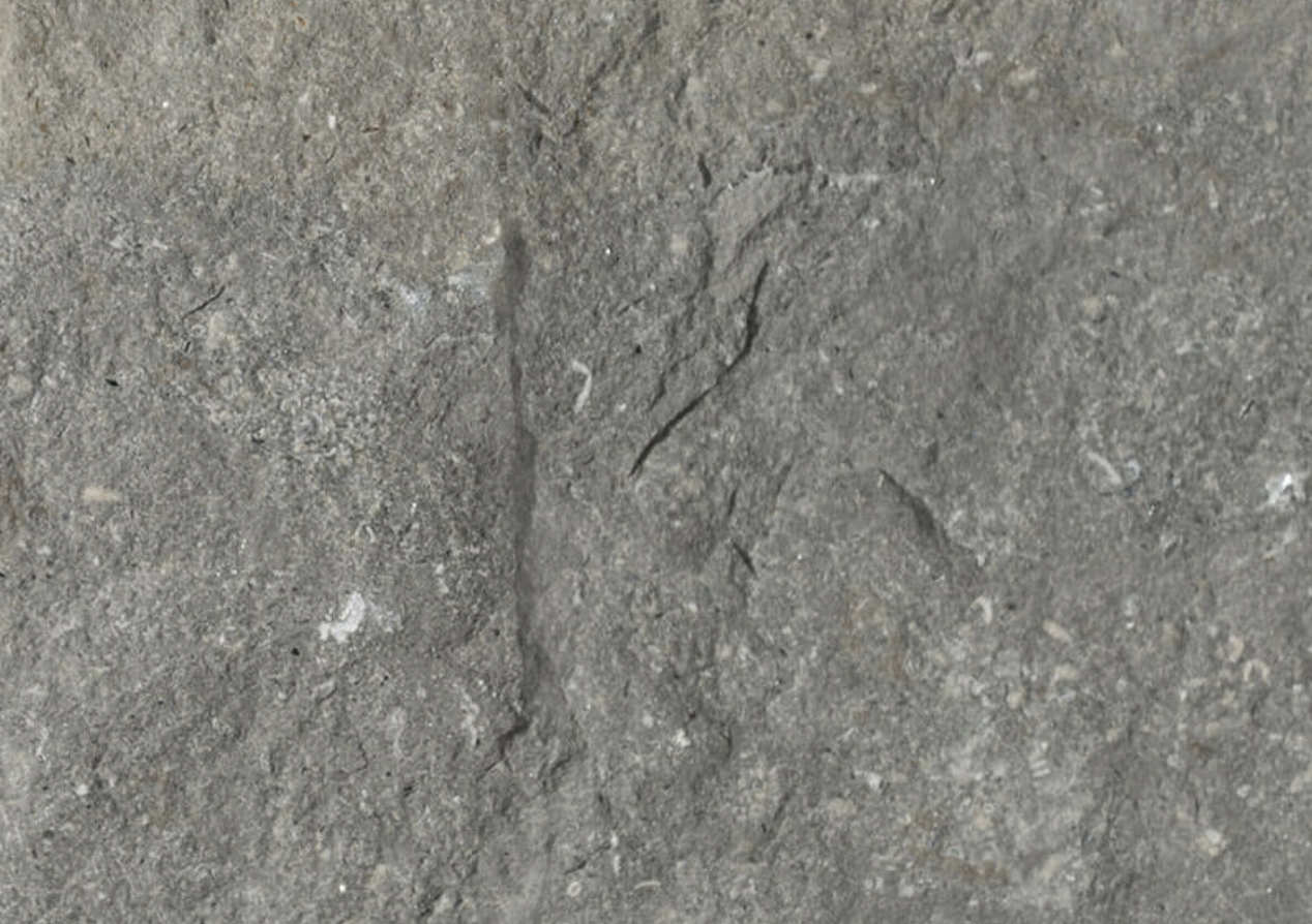 KO PLAZA GRAY SWATCH.png