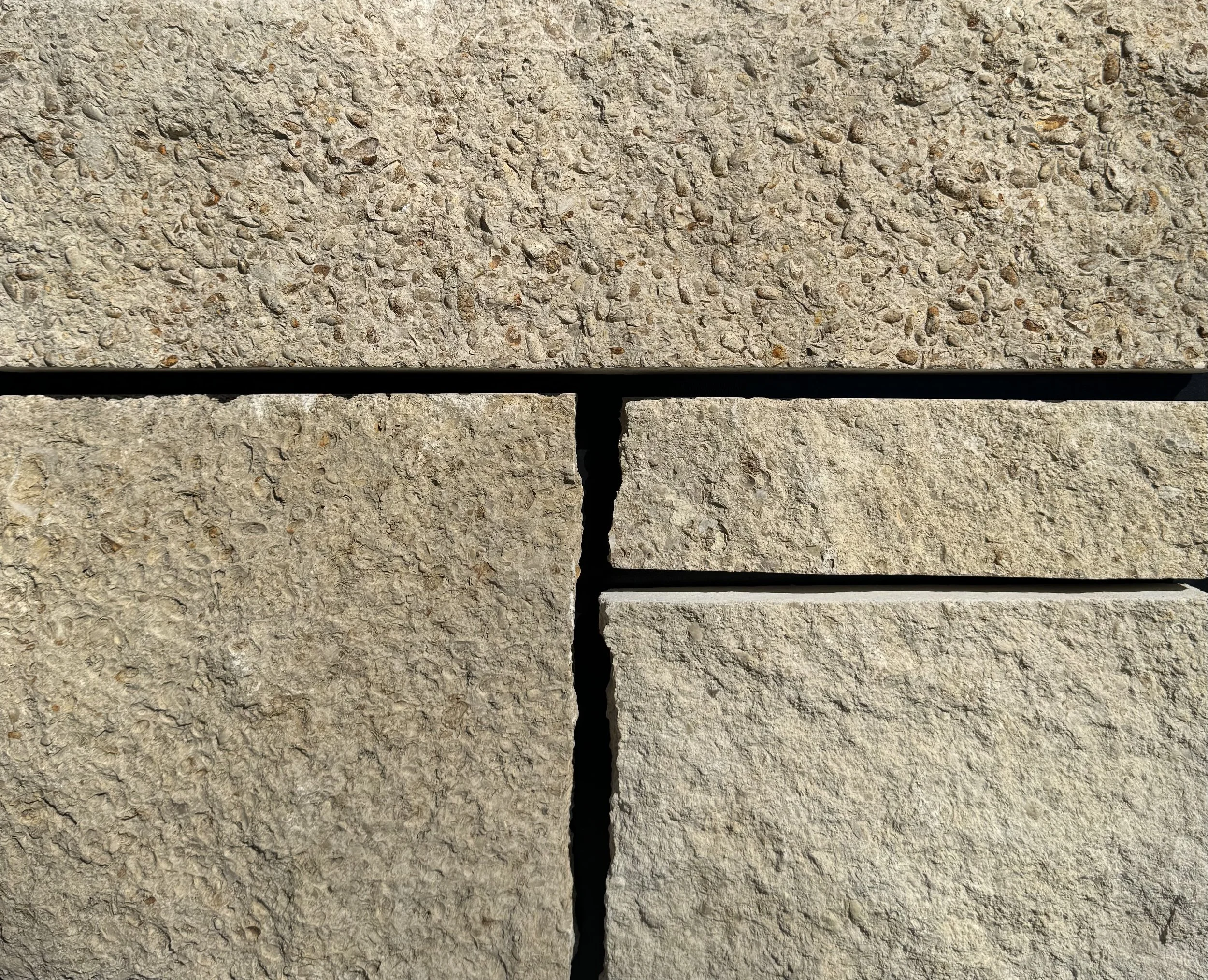 KO Prarie Shell 1052.jpeg