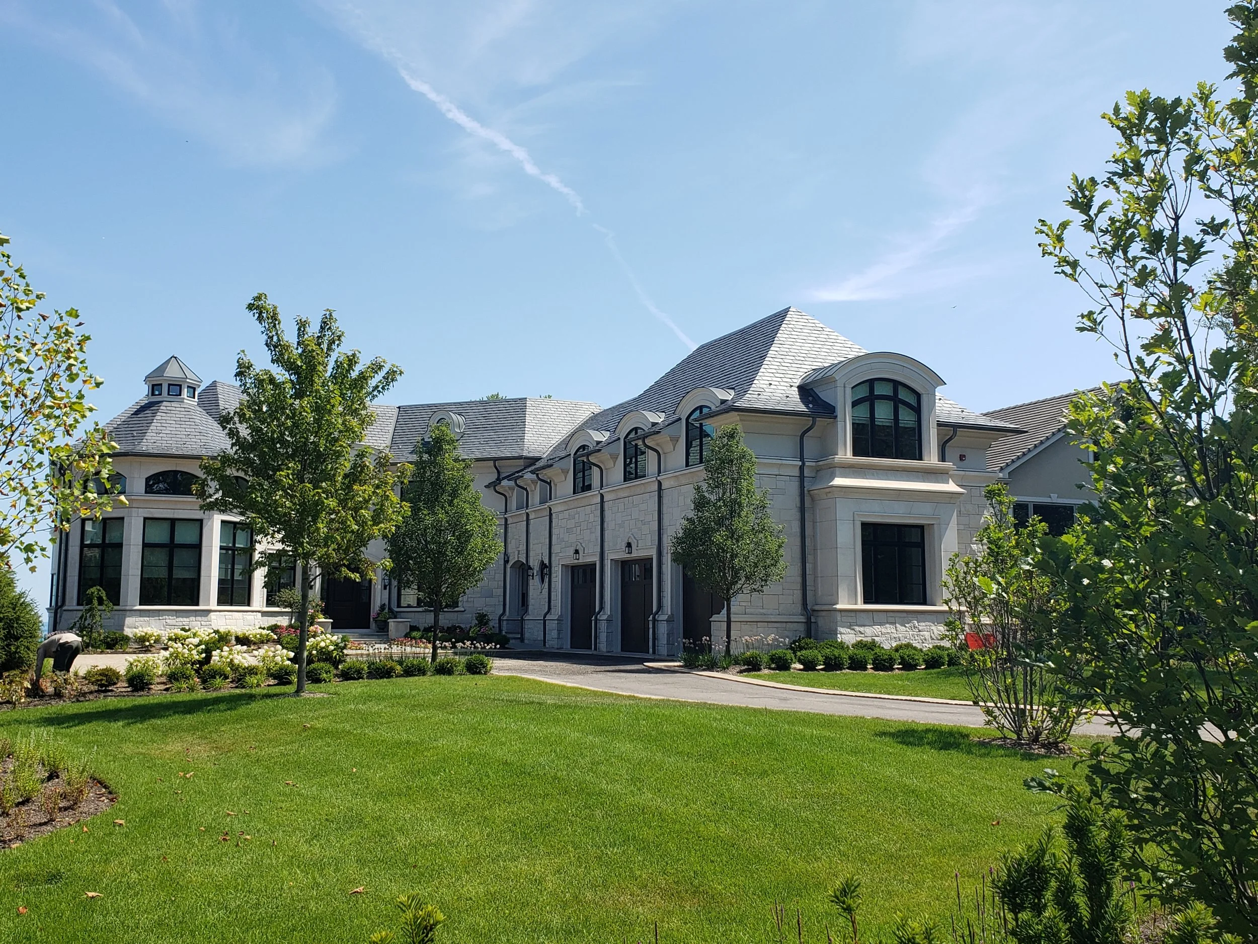 Gray Vireo Dimensional Split Faced 