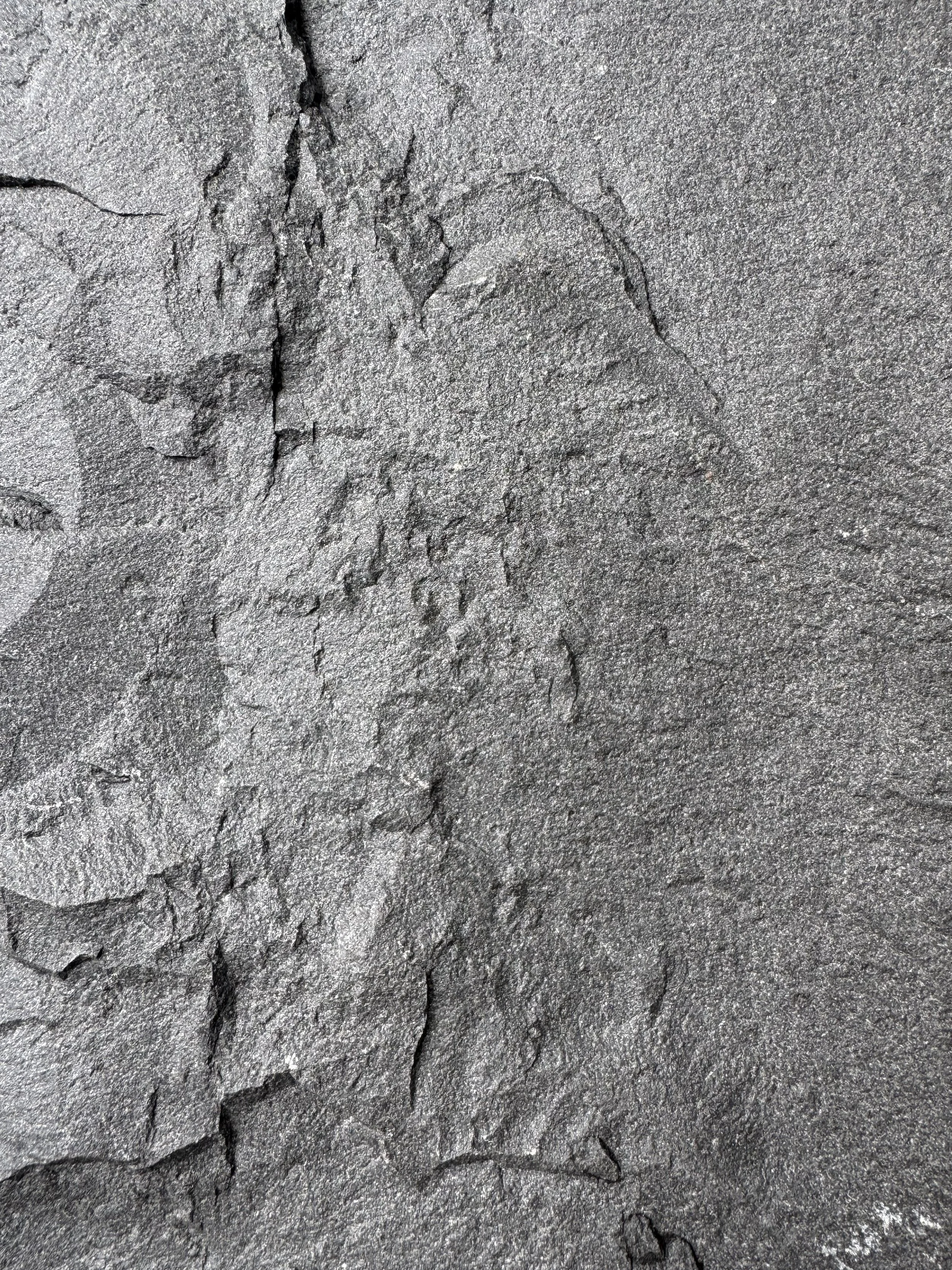 Black Mountain Split Face