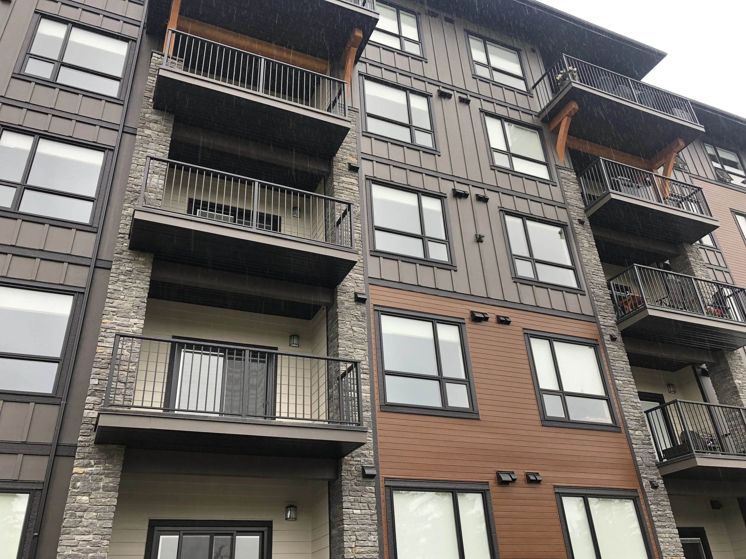 KO Silver Pearl_1119.jpeg