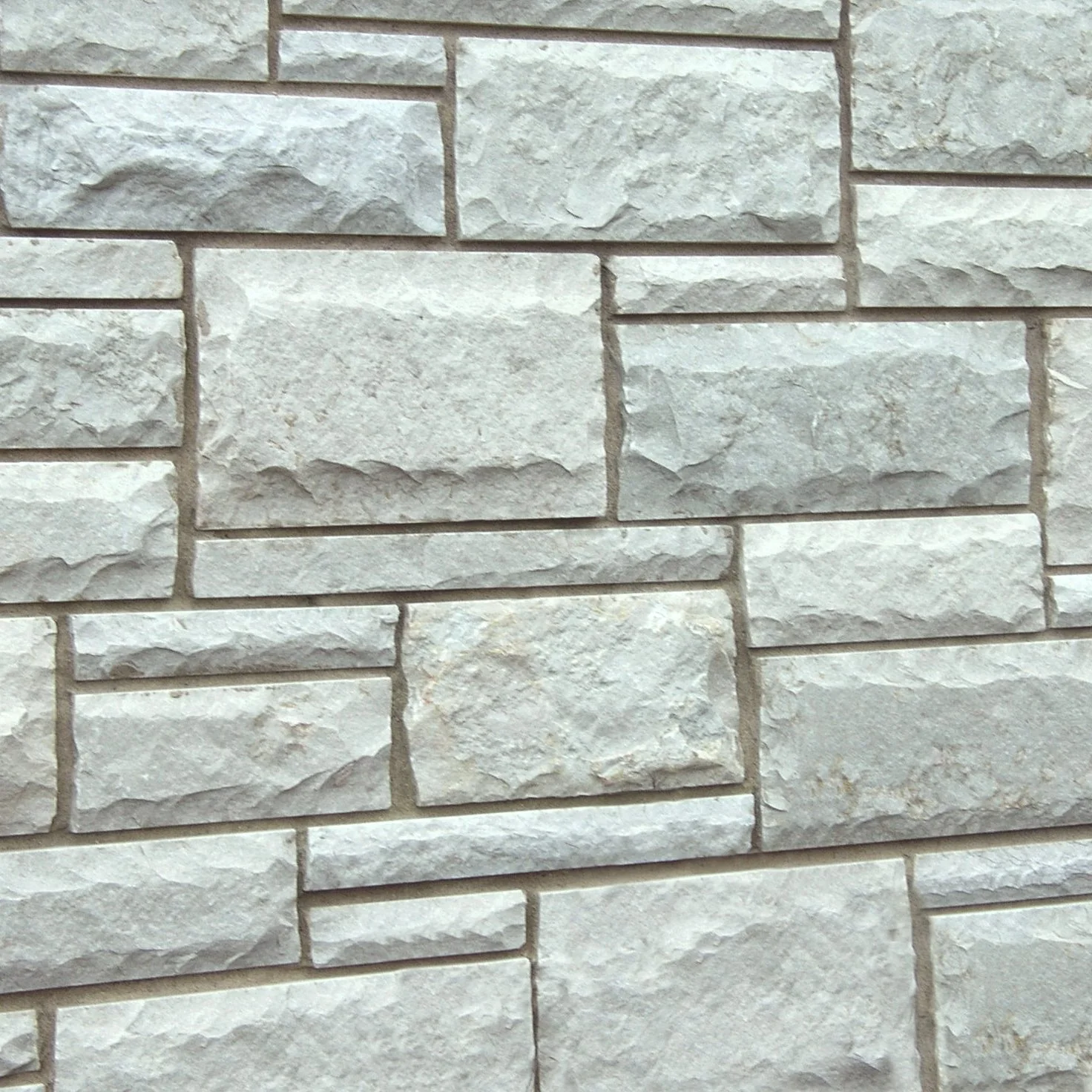 Gray Vireo Rockfaced