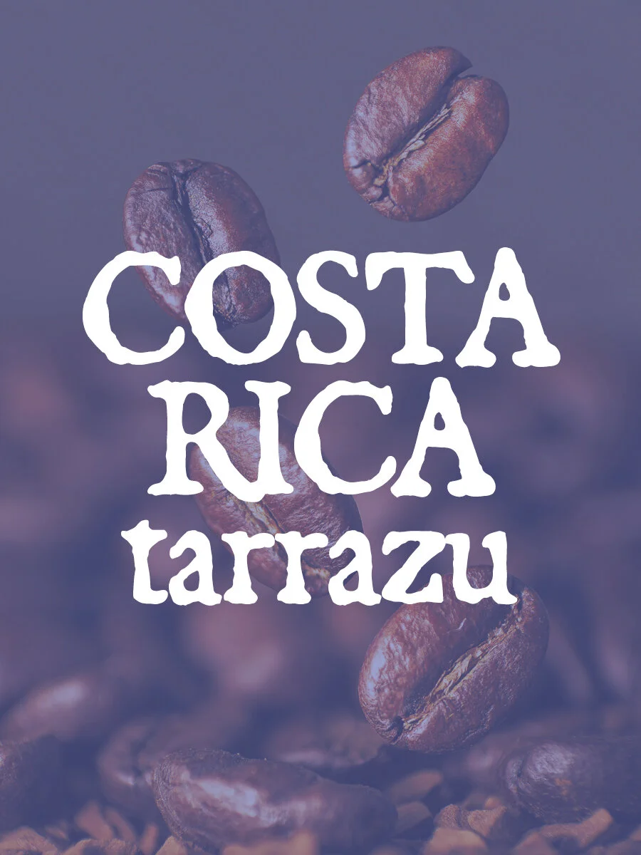 Costa Rica.jpg