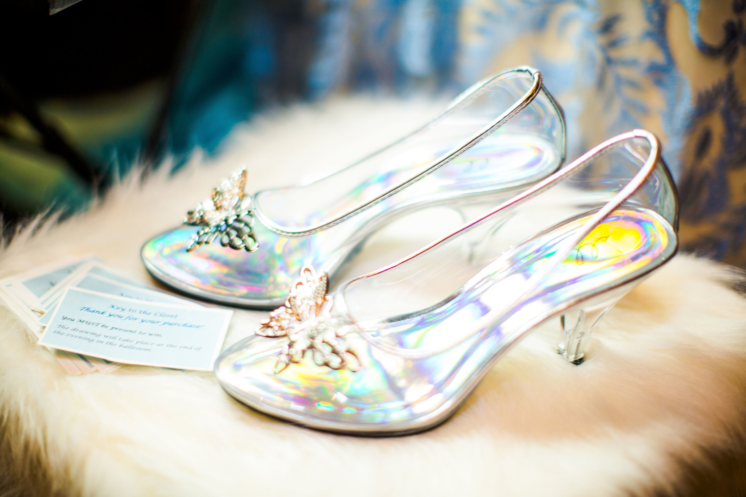 GlassSlippers-WWS.jpg