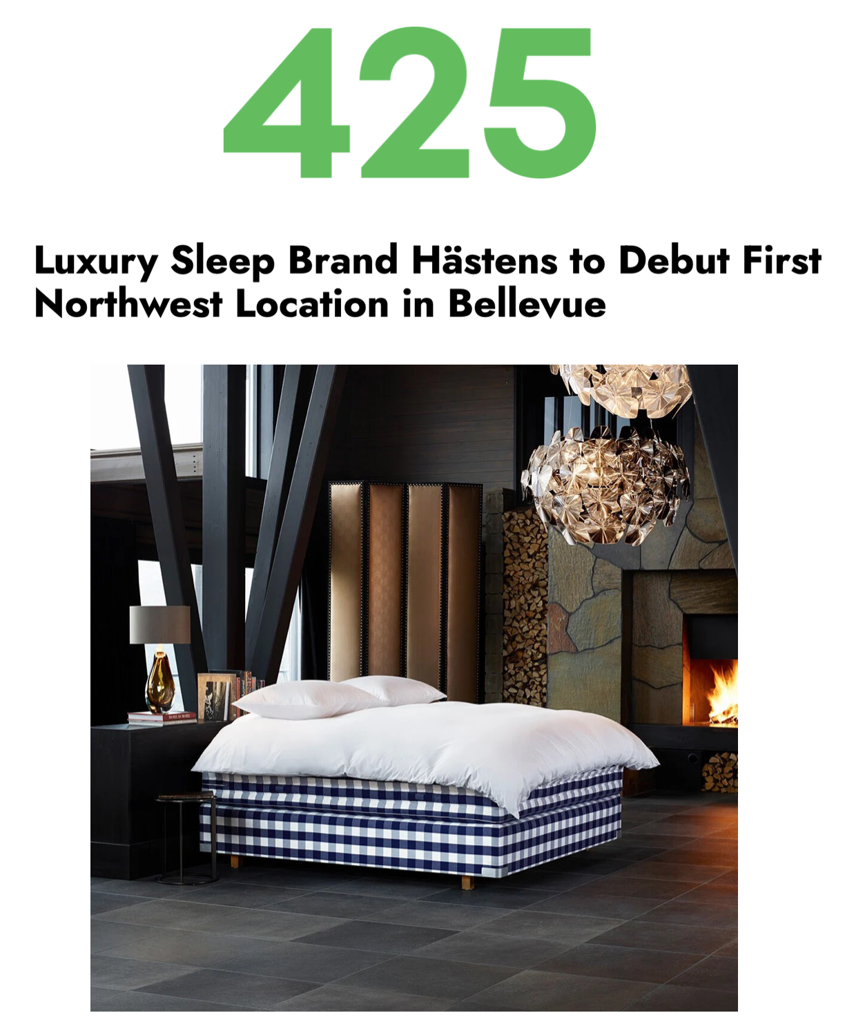 425 magazine - Hastens Clip.png
