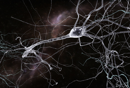 image courtesy of university of manchester