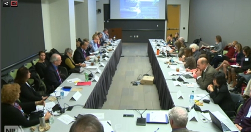 INTERAGENCY PAIN RESEARCH COORDINATING COMMITTEE (iprcc)