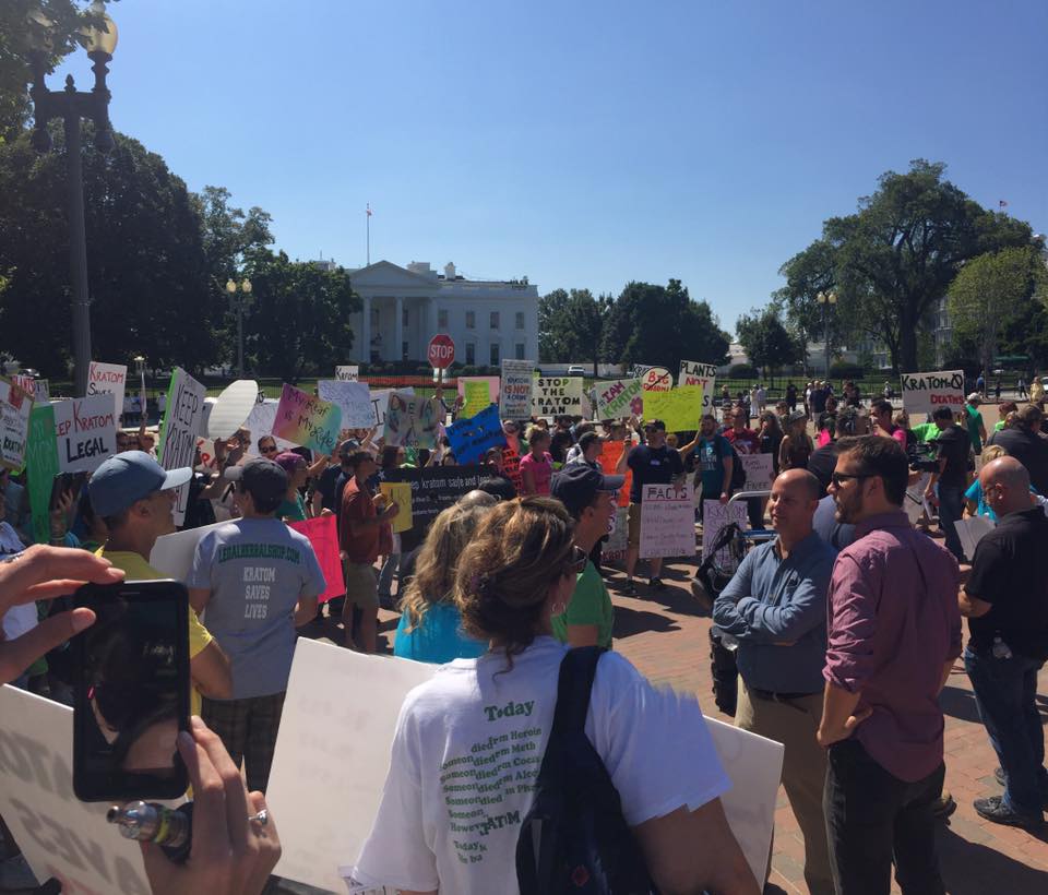 image courtesy american kratom assn.
