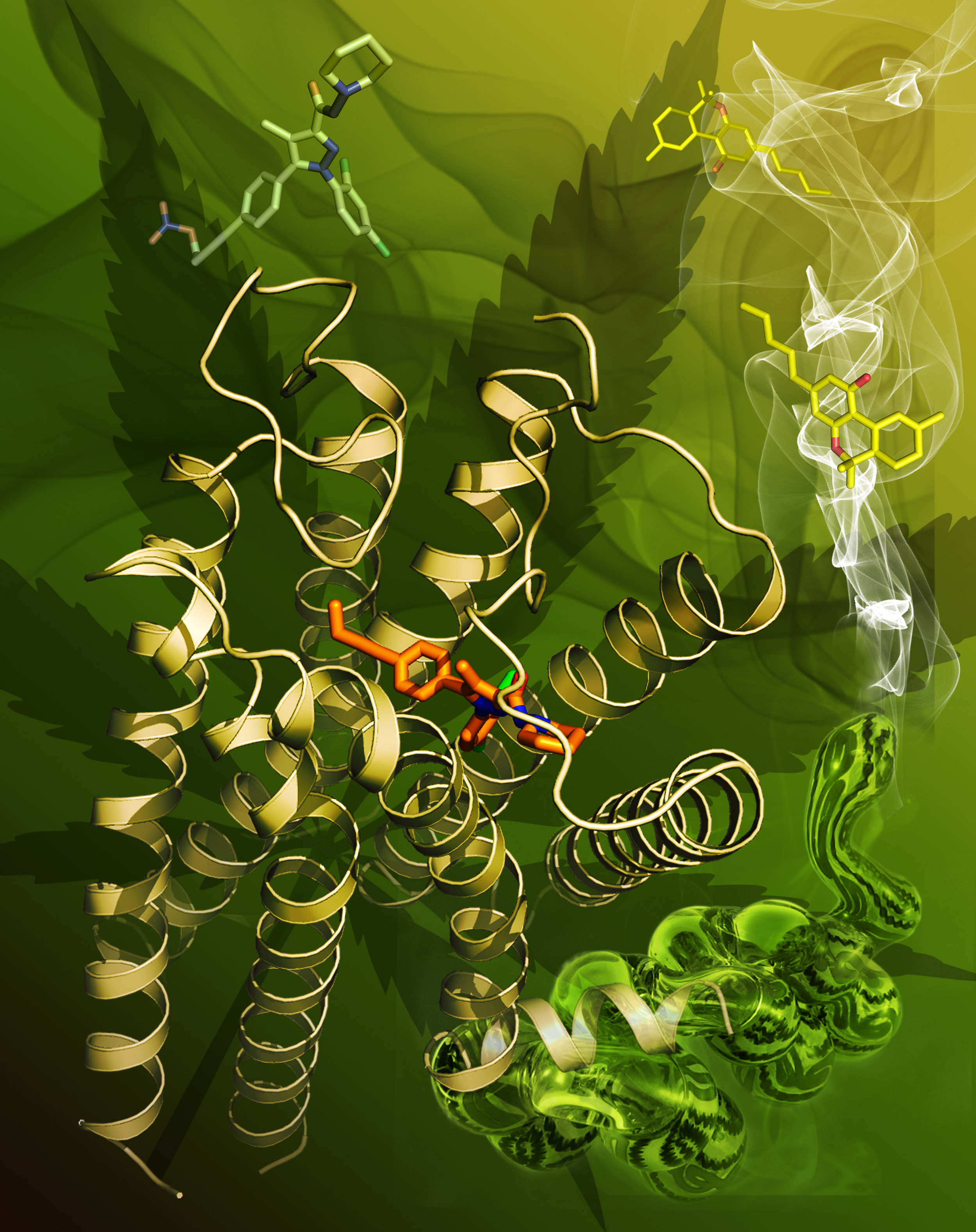 Yekaterina Kadyshevskaya, Stevens Laboratory, USC