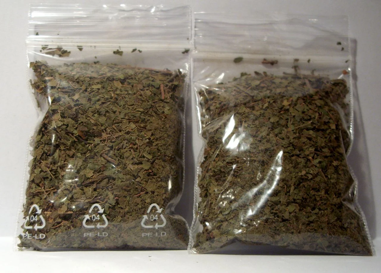 kratom leaves.jpg