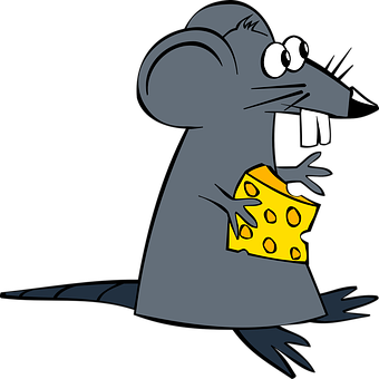 rat-152162__340.png