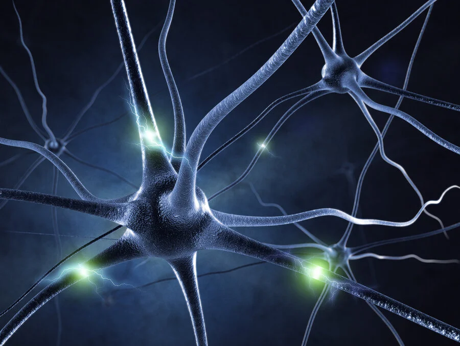 bigstock-active-nerve-cell-in-human-neu-16977458.jpg