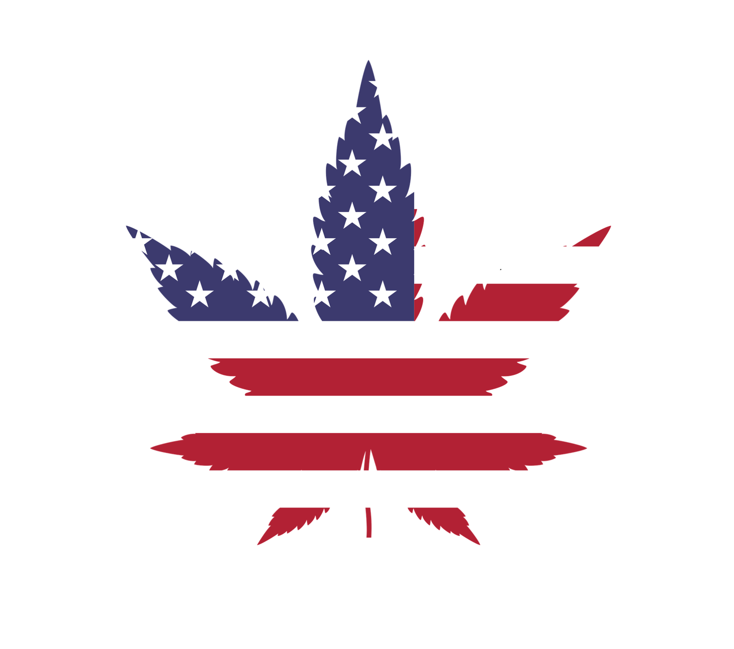 How Should the U.S. Regulate Medical Marijuana? 