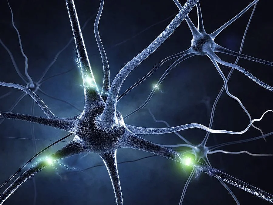 How Neurosteroids Made Their Debut in Chronic Pain Care