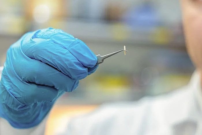 Tiny Injectable Implant Could Revolutionize Neuromodulation