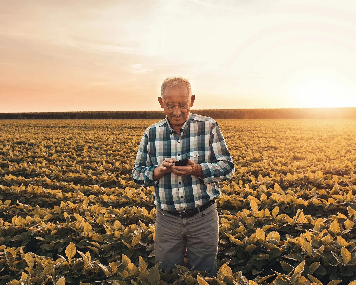 Hot Weather Raises Risk of Chronic Pain for Older Adults
