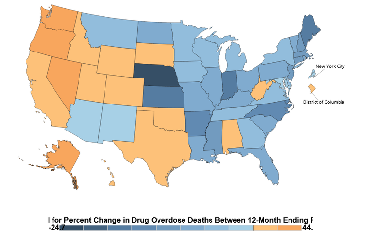 Fatal Overdoses Show First Decline in 5 Years — Pain News Network