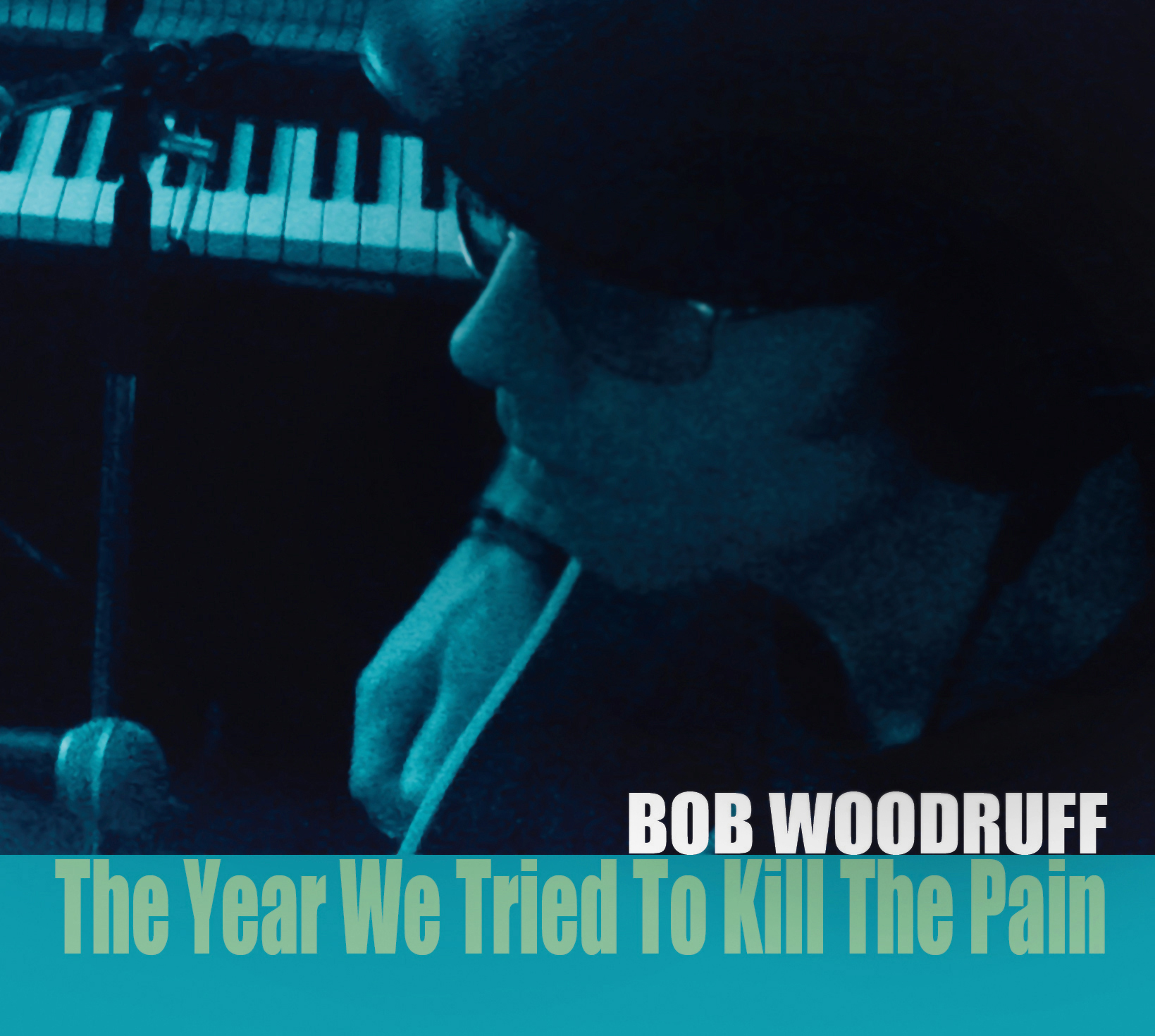 Bob Woodruff  The Year We Tried To Kill The Pain COVER.jpg