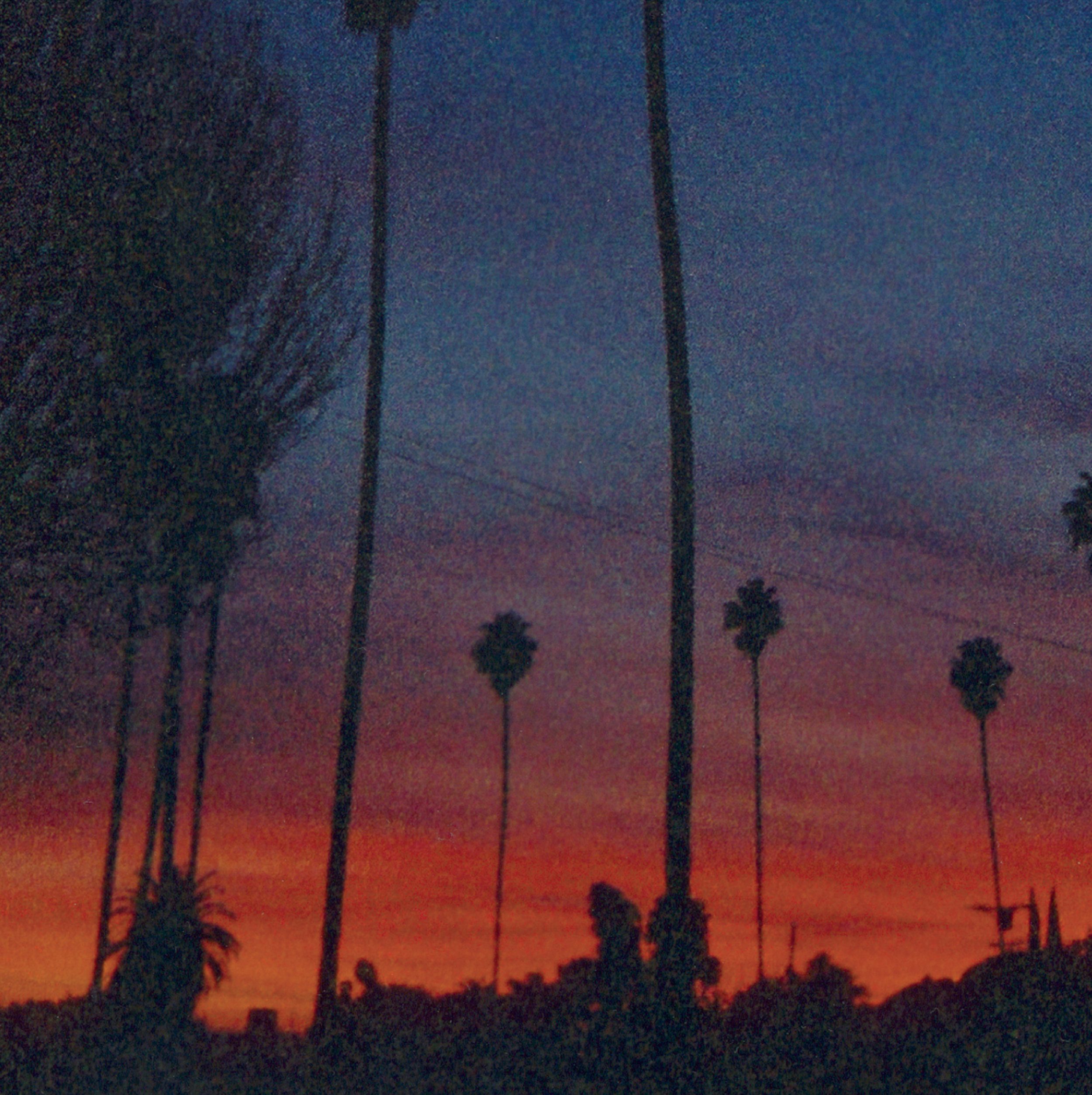 DAY INTO NIGHT B LT.jpg