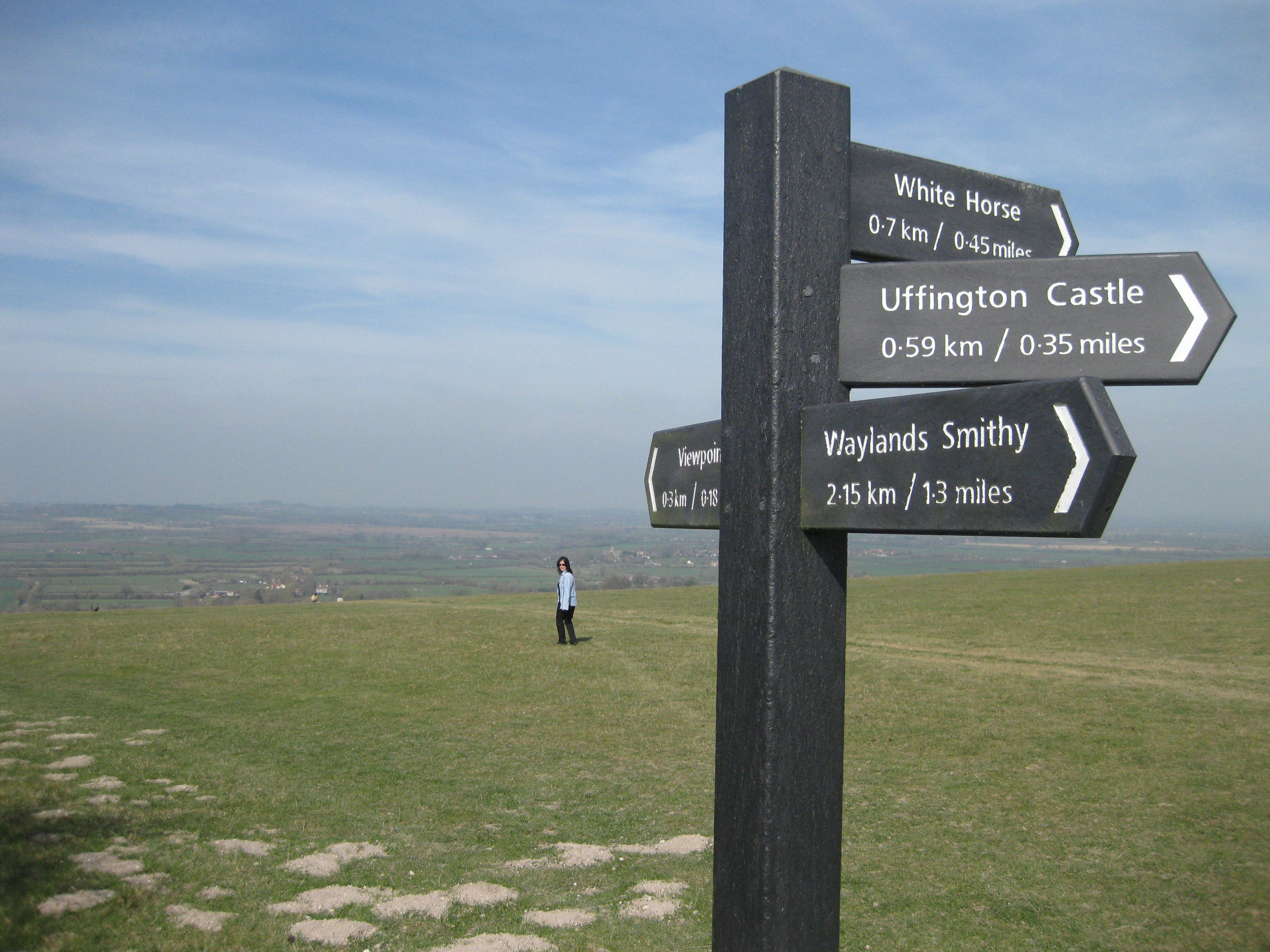 Anny Celsi Road Signs.jpg