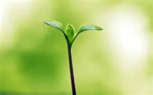 There is Always a First