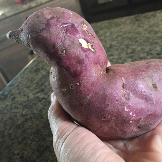 This sweet potato reminds me of a bird- beautiful and filled with energy.
